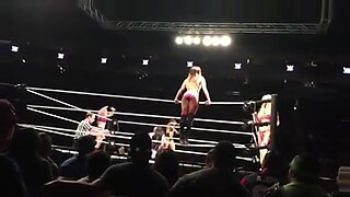 wwe original sex fighting