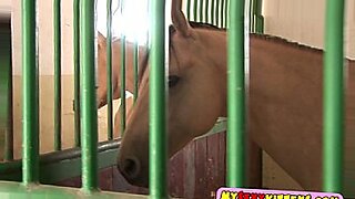 horse woman had sex video