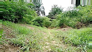 political-sri-reddy-sexy-videos-xxx-in-telugu
