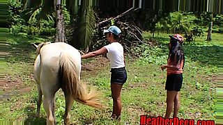 horse vs garli