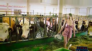 desi xxx cow video