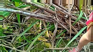 punjabi-outdoor-sex-videos