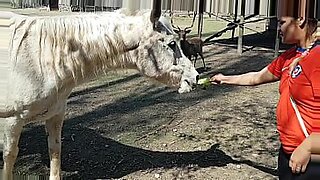 secret-pushy-licking