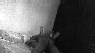 xxx-video-babo-y-melenie