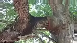 live-top-virgin-xxx